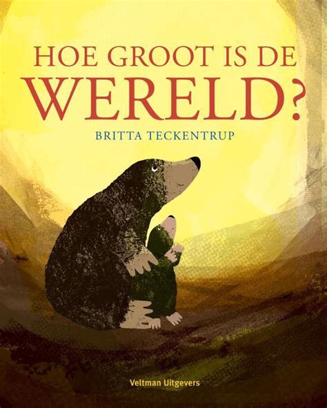 hoe groot is de